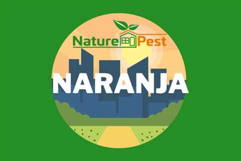 Pest Control Naranja FL | NaturePest Holistic Local Pest Control