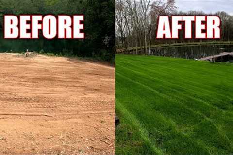 Heavy Rains Lawn Care on the Farm