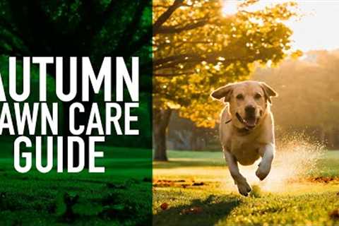 Autumn Lawn Care Guide