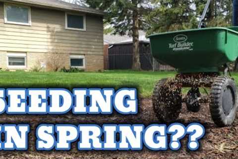 Seed your Lawn in the Spring?? Watch this FIRST!! // Do this...Don''t do that!!