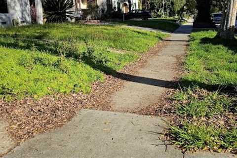 Neighbors Team Up On MOWING This Lawn When It OVERGROWS After City SIEZED The Property