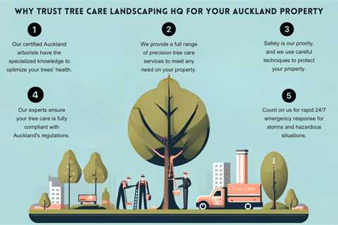 Why Choose Top Local Tree Care Experts?