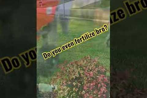 Lawn Care Tip | Fertilize Properly and You Will Have A BETTER Lawn