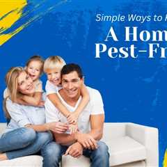 4 Simple Ways To Keep Your Brampton Home Pest-Free