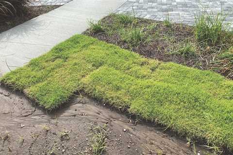 Successful Sod Installation