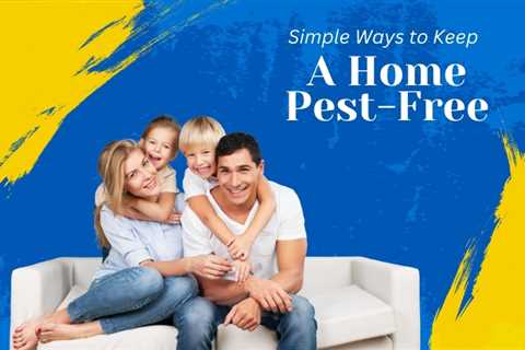 4 Simple Ways To Keep Your Brampton Home Pest-Free