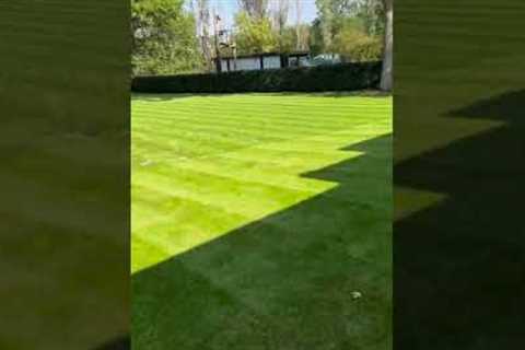 Grass Cut Plus - Lawn Maintenance