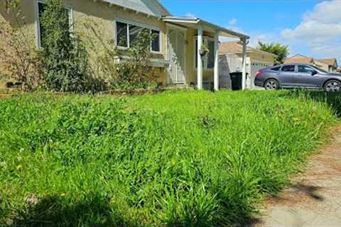 Homeowner Cannot BELIEVE I Told Her THIS About Her OVERGROWN Yard