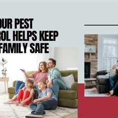 How Truly Nolen Pest Control Services in Toronto Helps Keep Your Family Safe