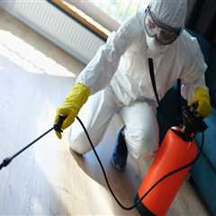 Rodent Control Solutions: How Pest Control Services In Atlanta, GA, Can Safely Manage Rodent..