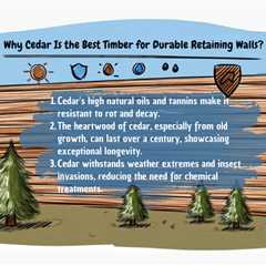 Why Cedar Is the Best Timber for Durable Retaining Walls?
