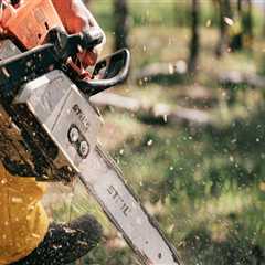 Sustainable Solutions: Bethany's Stump Removal Service Leading The Way In Forestry Equipment..