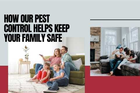 How Truly Nolen Pest Control Services in Toronto Helps Keep Your Family Safe