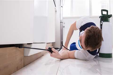 How do you prepare for pest control indoor spray?