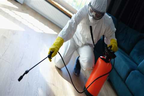 Rodent Control Solutions: How Pest Control Services In Atlanta, GA, Can Safely Manage Rodent..