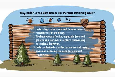 Why Cedar Is the Best Timber for Durable Retaining Walls?