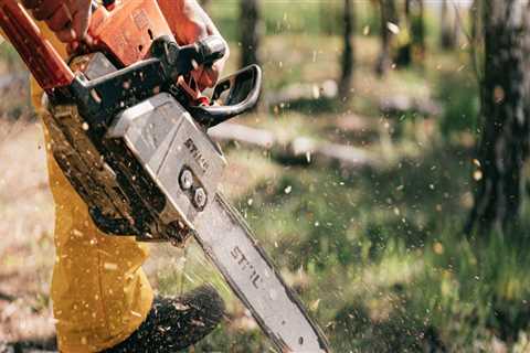 Sustainable Solutions: Bethany's Stump Removal Service Leading The Way In Forestry Equipment..