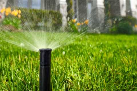 Everything You Need to Know About Irrigation System Installation and Repair