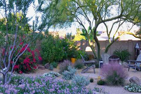 Maintaining a Xeriscape Landscape: Tips and Tricks for a Beautiful, Low-Maintenance Garden