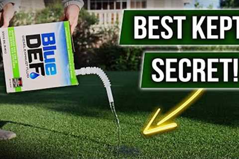 The CHEAPEST Liquid Fertilizer in the WORLD!!