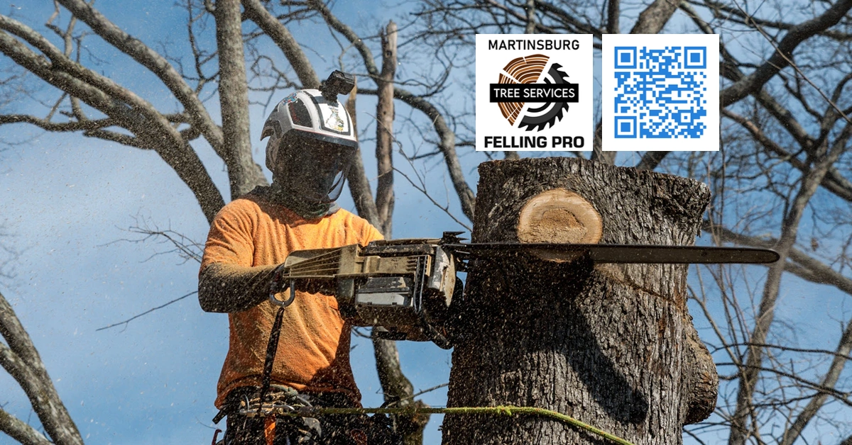 Martinsburg Tree Service - Berkeley Felling Pro