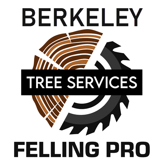 Stump Removal - Berkeley Felling Pro