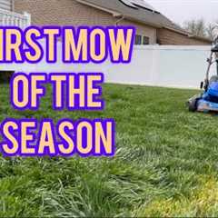 Tall Fescue Lawn Care: First Mow of the Season Tips