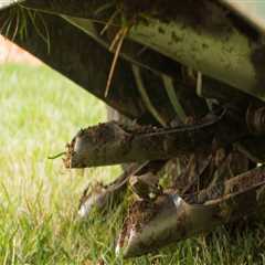 Fertilization and Aeration: The Key to a Beautiful and Functional Lawn
