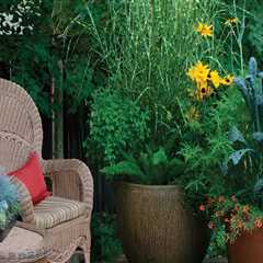 Container Gardens: How to Transform Your Outdoor Living Space