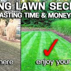 HOW I JUMPSTART MY LAWN IN SPRING - Spring Lawn Care Tricks REVEALED!