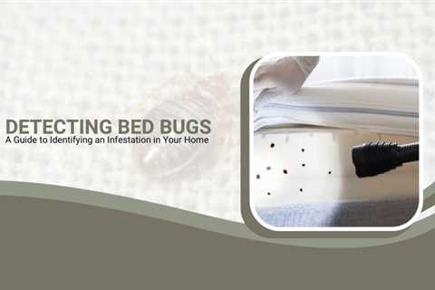 Detecting Bed Bugs: A Guide to Identifying an Infestation in Your Home