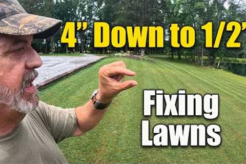 Fixing Lawn Problems After a Month Away