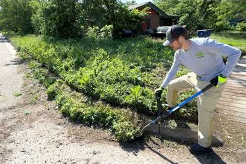 Lunch Lady is BUSY feeding LOCAL KIDS and can’t keep up with her lawn