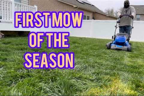 Tall Fescue Lawn Care: First Mow of the Season Tips