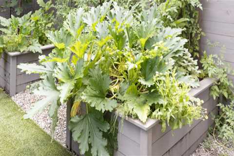 Raised Bed Gardening: Enhancing Your Outdoor Living Space