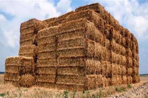 A Sustainable and Eco-Friendly Guide to Straw Bale Construction