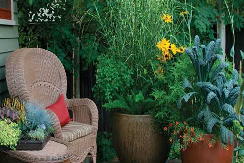 Container Gardens: How to Transform Your Outdoor Living Space