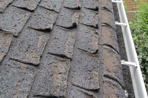 Signs of a Failing Shingle Roof: What to Look Out For