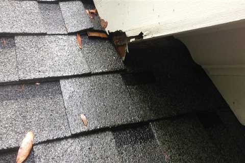 Extensive Damage on Roofs and Siding: What You Need to Know