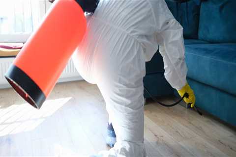 Protecting Your Hardwood Floors: The Role Of Certified Mold Specialists In Philadelphia