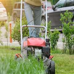 Perks Of Partnering With A Lawn Mowing Service Provider After Tree Trimming In Northern Virginia