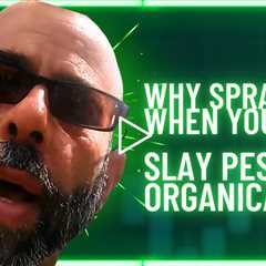 Master Organic Pest Control: Tips and Techniques from The Pestgeek!