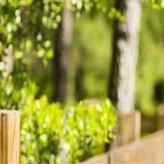 The Most Affordable Fencing Options for Your Home