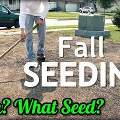 Fall Cool Season Lawn Seeding Tips // When? What Grass Seed?