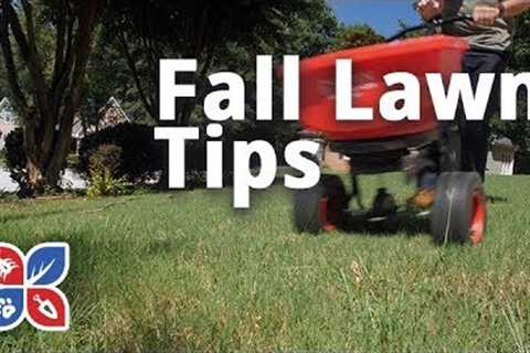 Do My Own Lawn Care - Fall Lawn Tip - Ep32