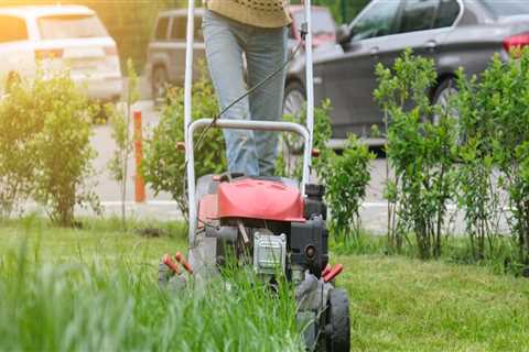 Perks Of Partnering With A Lawn Mowing Service Provider After Tree Trimming In Northern Virginia