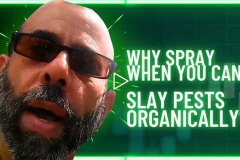 Master Organic Pest Control: Tips and Techniques from The Pestgeek!