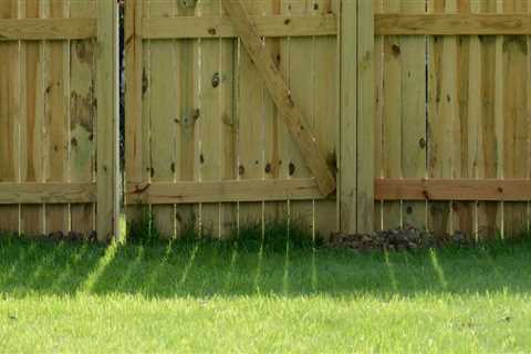 The Most Affordable Fence Options for Your Garden