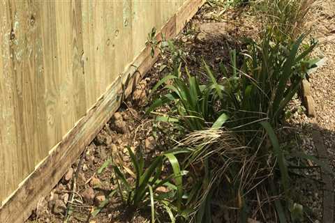 The Ultimate Guide to Installing a Fence: Tips from an Expert