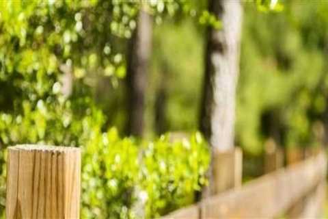 The Most Affordable Fencing Options for Your Home